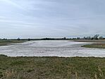IMG_20260428_120301.jpg