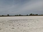 IMG_20260428_124233.jpg