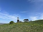 IMG_7810
