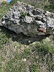 IMG_7812