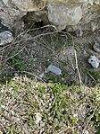 IMG_7813