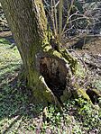 IMG_9796