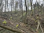 IMG_6701