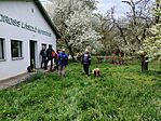 IMG_20260411_095533