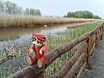 IMG_20260413_085841