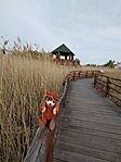 IMG_20260413_090831