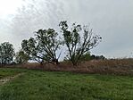 IMG_20260413_091400