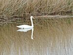 IMG_20260413_085842