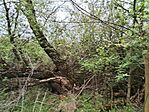 IMG_20260414_085431