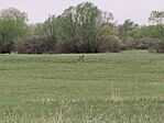 IMG_20260414_090048
