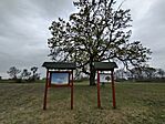 IMG_20260414_092643