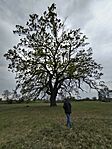 IMG_20260414_092626