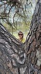 IMG_0648