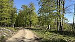 IMG_0947