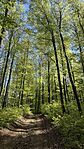 IMG_0943