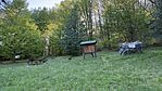 IMG_0951