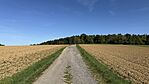 IMG_1087