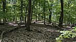 IMG_1004