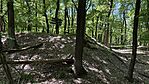 IMG_1006