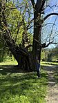 IMG_1090