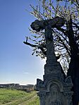 IMG_1132