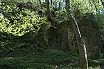 DSC02530