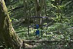 DSC02533