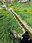 IMG_20260408_095501