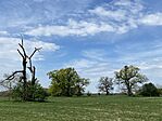 IMG_0090