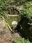 IMG_0142