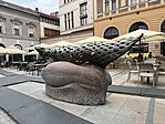 IMG_3354