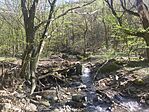 IMG_20260405_095656