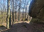 IMG_20260405_114517