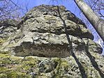 IMG_20260405_114706