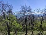 IMG_20260405_125511