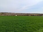 IMG_20260403_121139