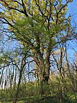 IMG_20260404_162601