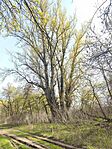 IMG_20260412_155703