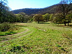 Harmónia