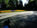 Pihenő