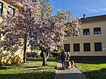 IMG_20260408_164302