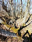 IMG_20260405_133853_141