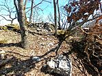 IMG_20260405_133912_161