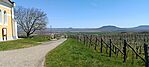 IMG_20260408_125351