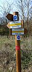 IMG_20260403_092928