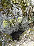DSC07739