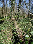 DSC07804