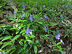 DSC07990