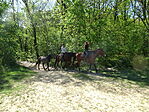 DSC07991