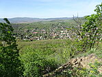 DSC07992